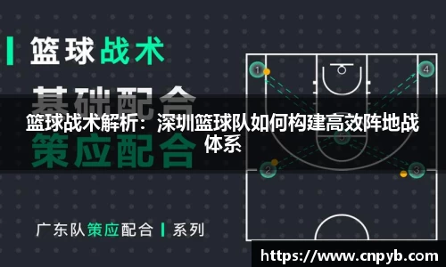 篮球战术解析：深圳篮球队如何构建高效阵地战体系